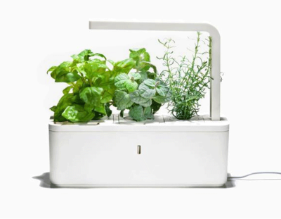 新版智能盆栽草本花园--Click and Grow Smart Herb Garden